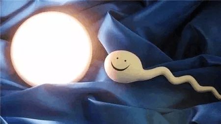 试管助孕生男孩